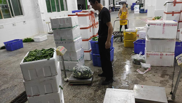 鋁錠碳排放足跡 鋁錠碳排放足跡